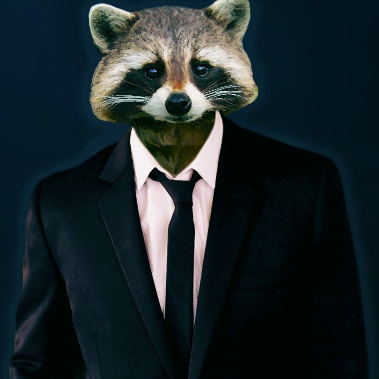 Енот бизнесмен