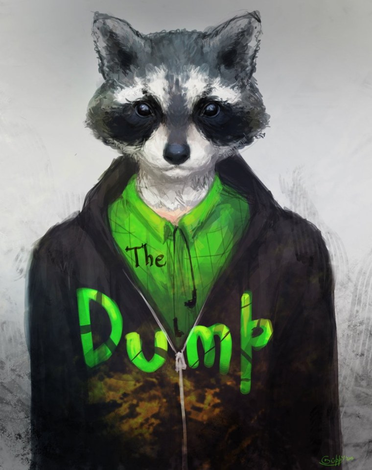 Енот Эстетика