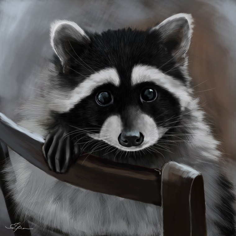 Енот полоскун арт