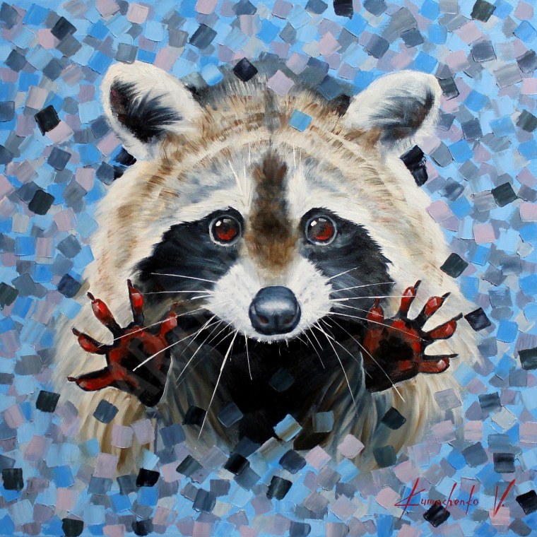 Фото енота в хорошем качестве