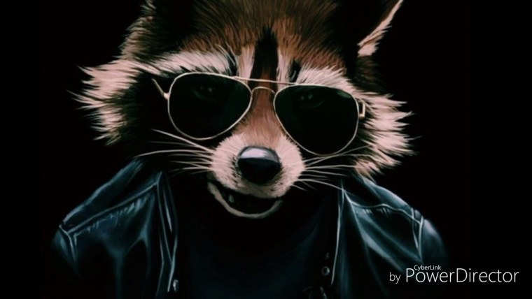 Енот из стражей Галактики в очках