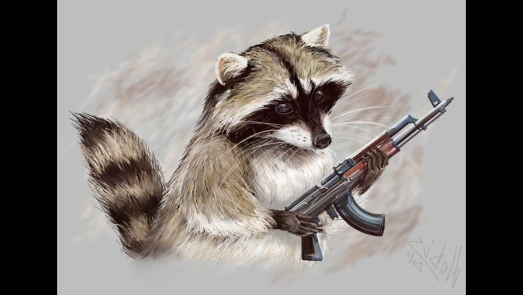 Енот с автоматом