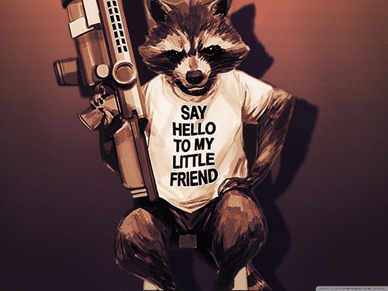 Енот полоскун арт