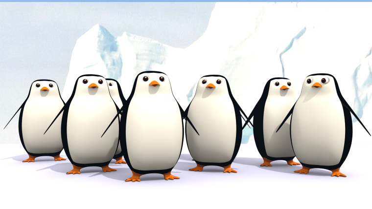 Пингвины обои