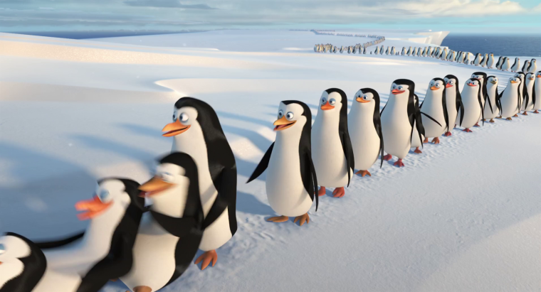 Мадагаскар пингвины в Антарктиде