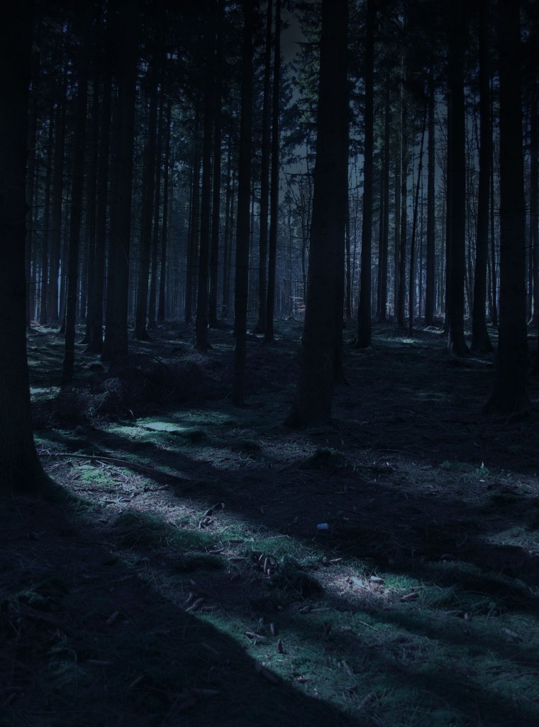 Туманный лес Слизерин