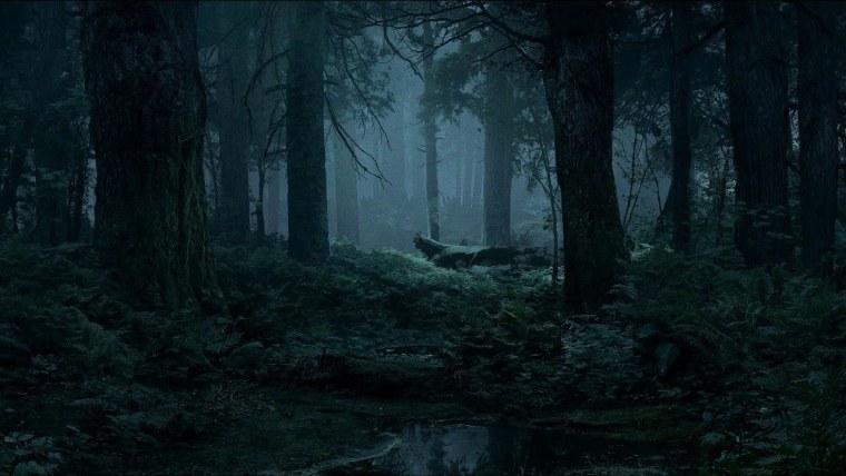 Дождливый лес игра престолов