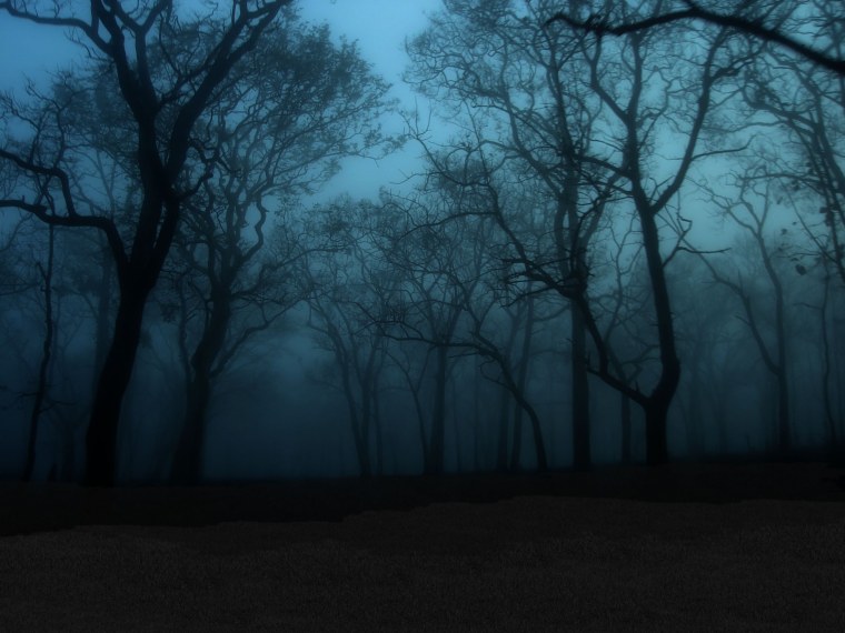 Мрачный ночной лес