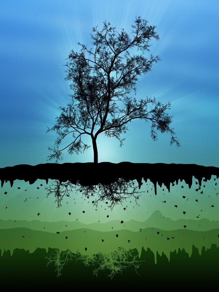 Мрачное дерево