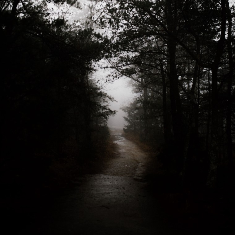Мрачная дорога в лесу