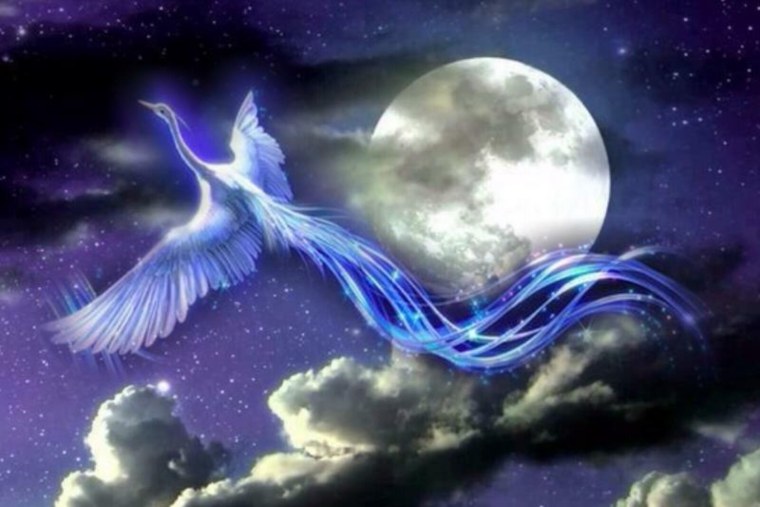Сказочная белая птица
