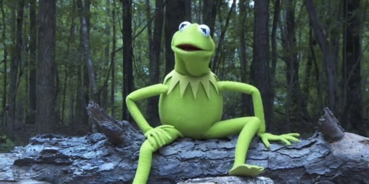 Кермит в капюшоне
