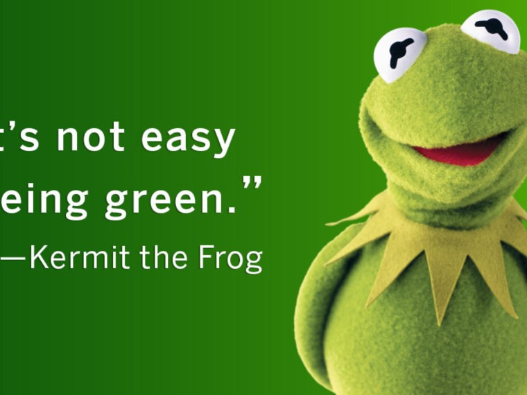 Кермит с чемоданом