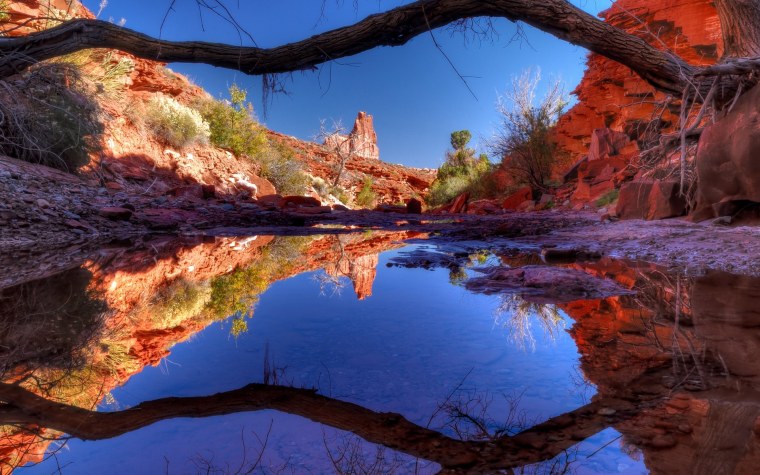 Красивые заставки на рабочий стол природа