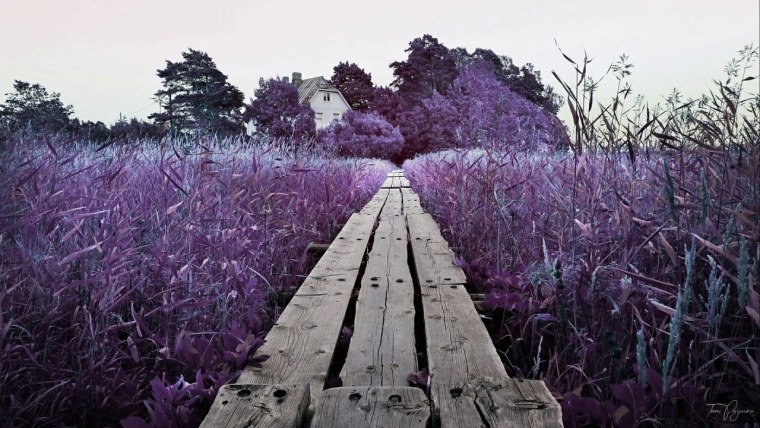 Космическое зло