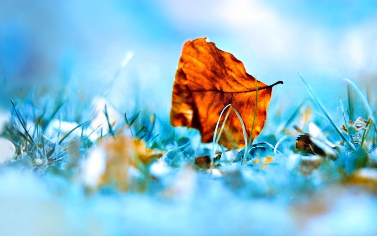 Осень в голубых тонах