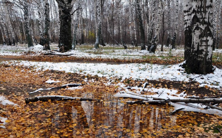Астрахань слякоть