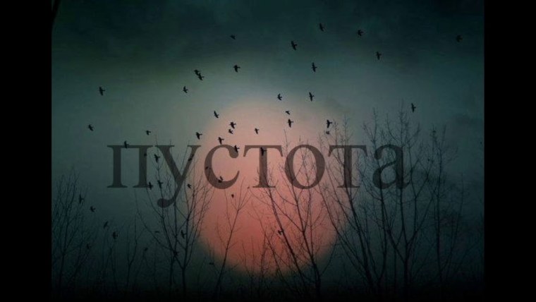 Наша маленькая стая уходит в небо