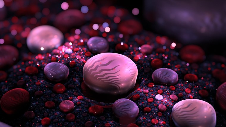 Фоны красивые и редкие