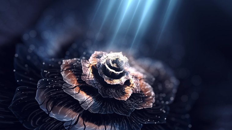 Красивые картинки на темном фоне