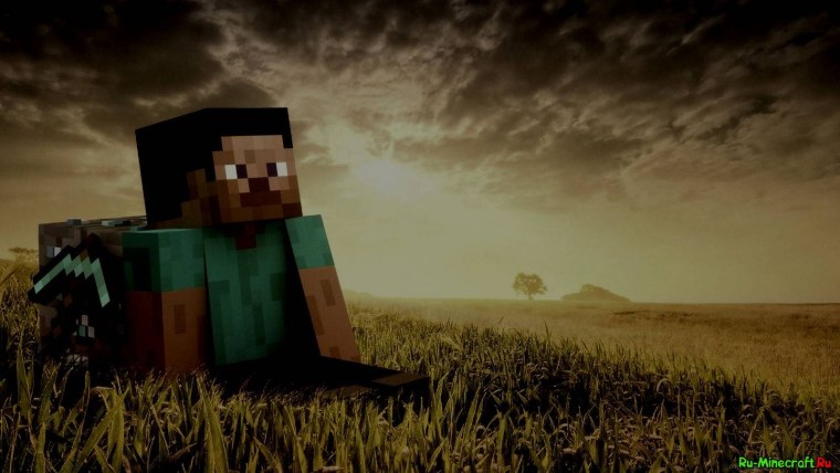 Стив сидит в поле