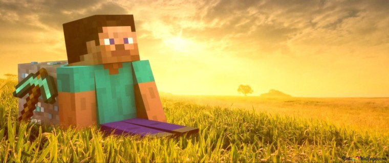 Стив сидит в поле майнкрафт