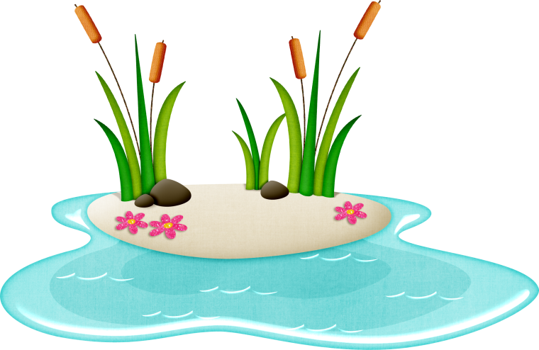 Водоем на белом фоне