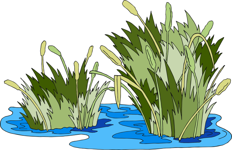 Сказочный водоем