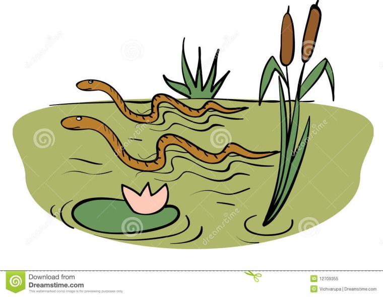 Болото на белом фоне