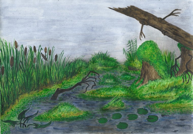 Нарисовать болото