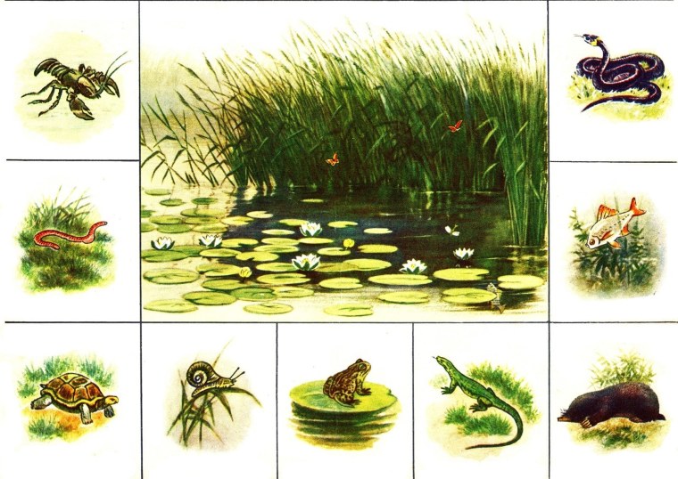 Болото с камышами арт