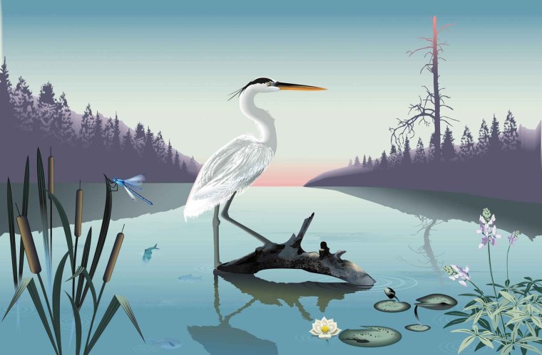 Болото с лягушками арт