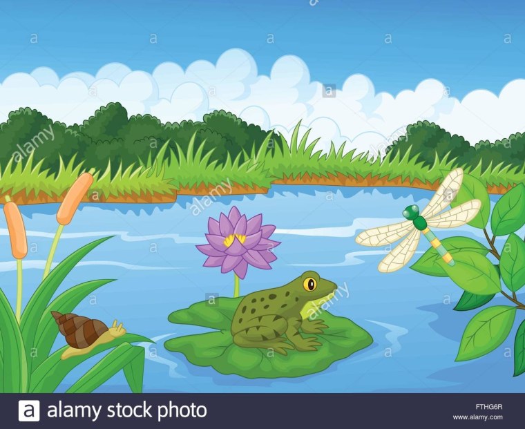 Водоем на прозрачном фоне