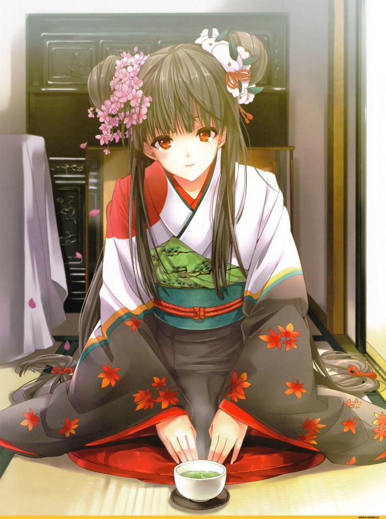 Аниме инцидент кимоно Акира