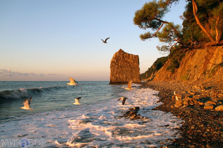 Скала Парус в Геленджике