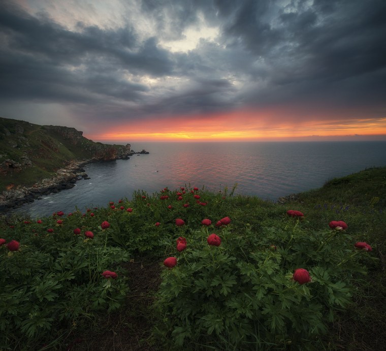 Скала Парус Симеиз