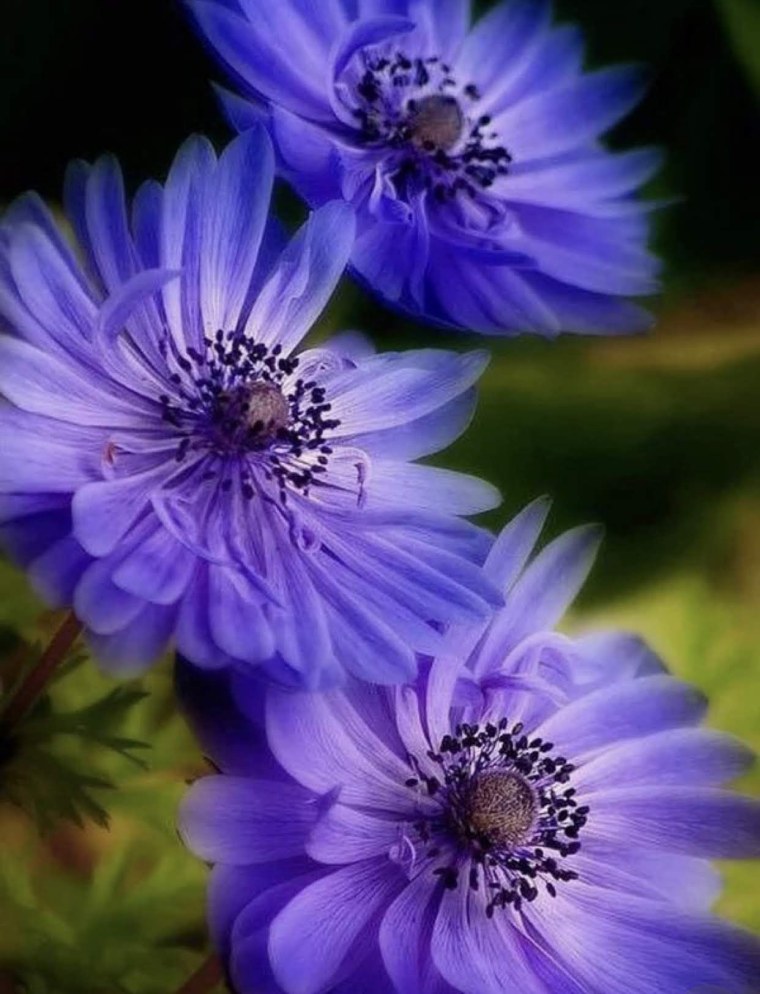 Обои на телефон вертикальные