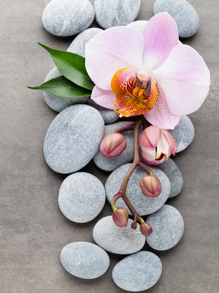 Красивые обои на рабочий стол