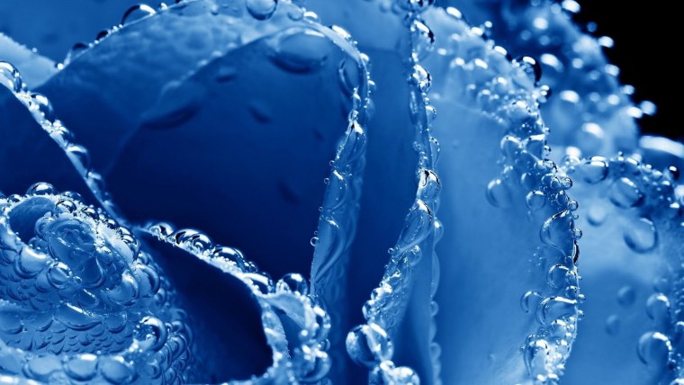 Голубой цвет