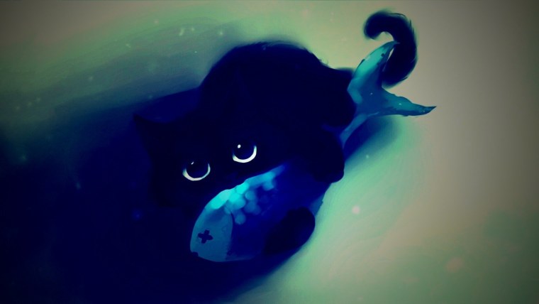 Милые котики на темном фоне