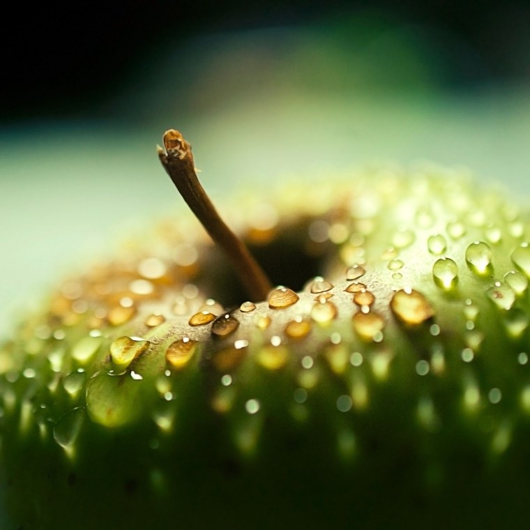 Макросъёмка предметы