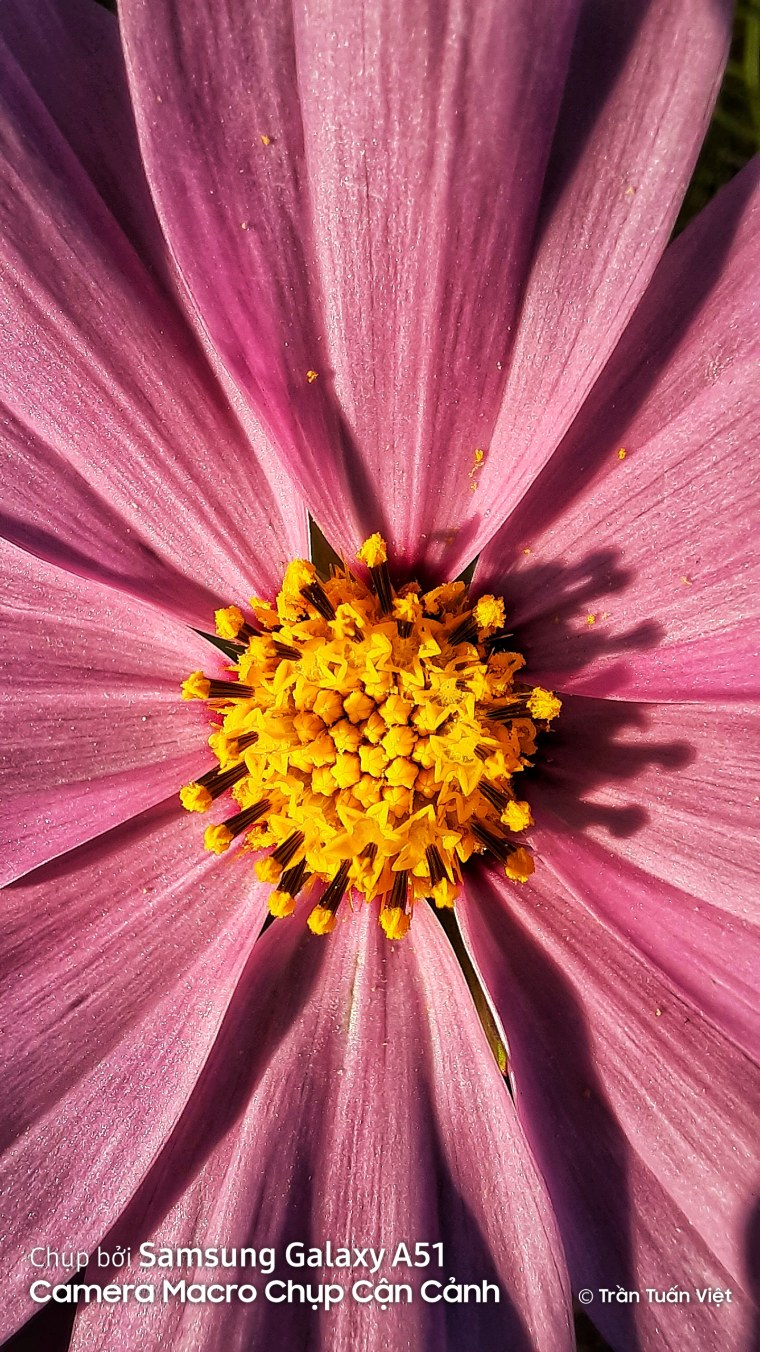 Samsung Galaxy a51 Camera