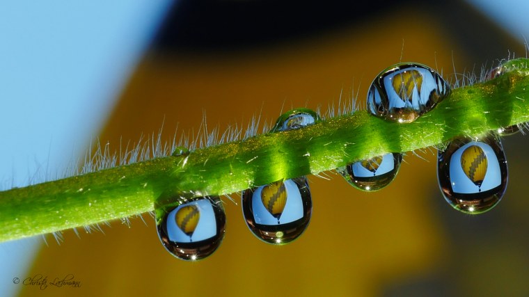 Макрофотографии пыли