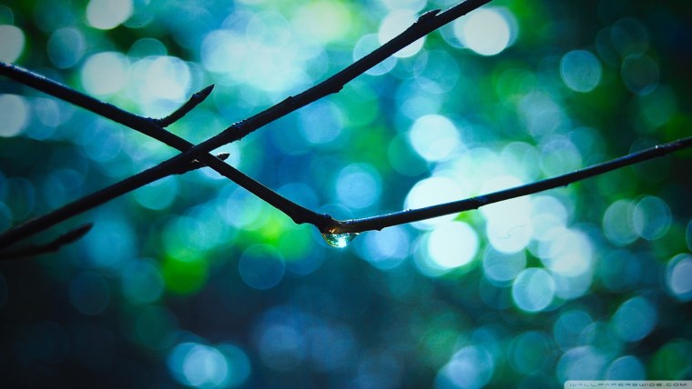 Обои на рабочий стол с глубиной резкости