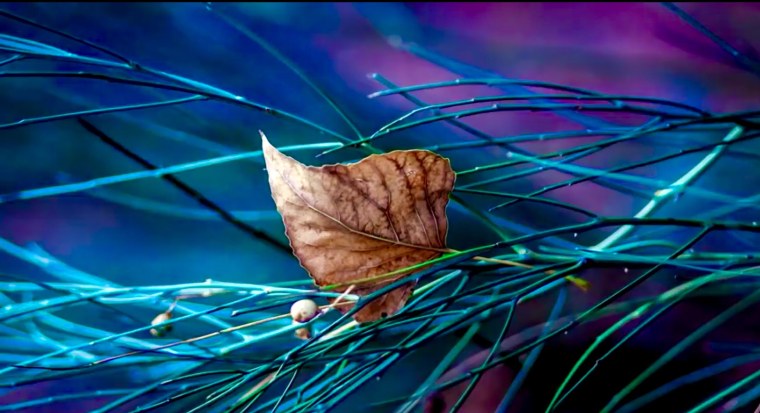 Обложки для фейсбука красивые