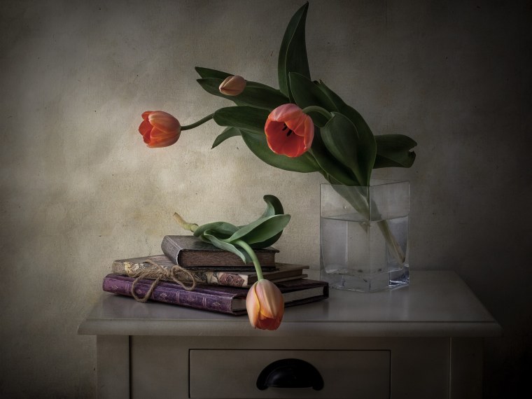 Необычные натюрморты цветы