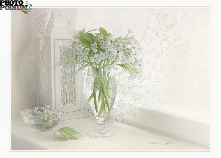 Луиза Гельтс весенние натюрморты