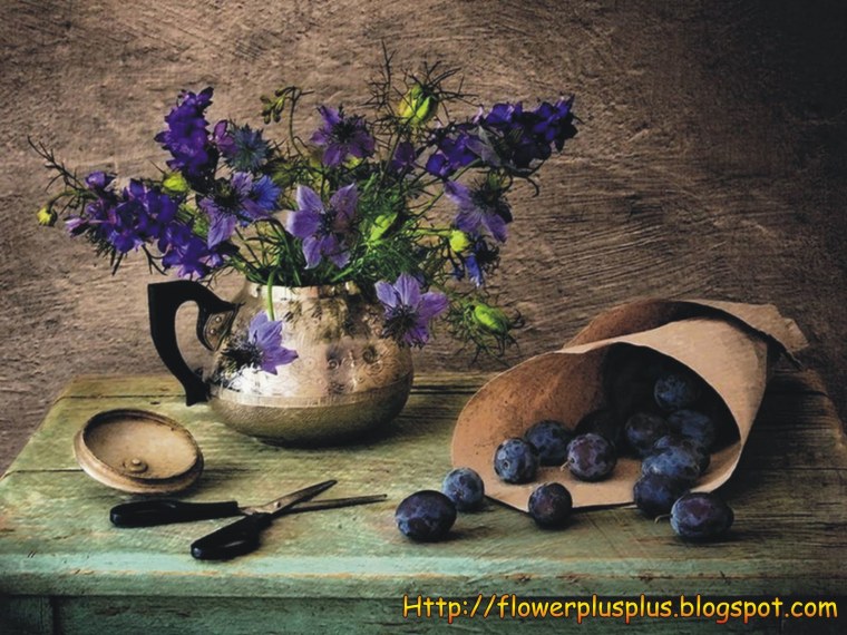 Душевный натюрморт