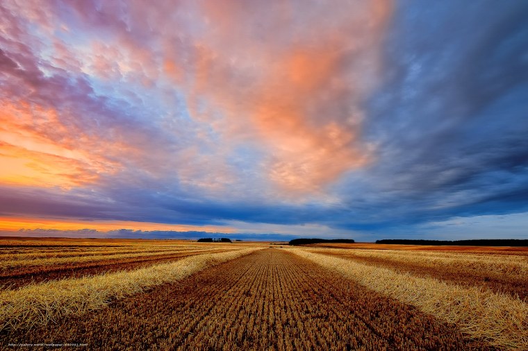 Закат в поле