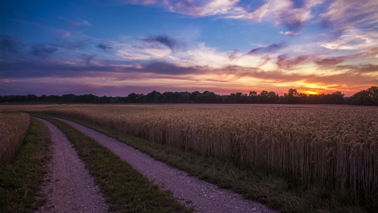 Закат в поле